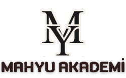 Mahyu Akademi
